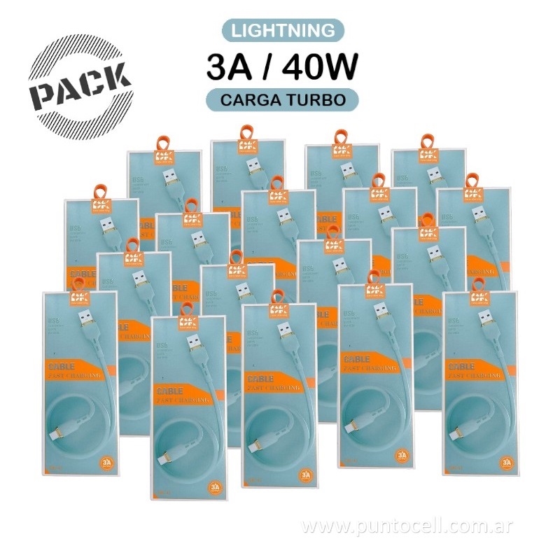 PACK x 100 - CABLES USB DK-41 LIGHTNING 3A / 40W _ 1M